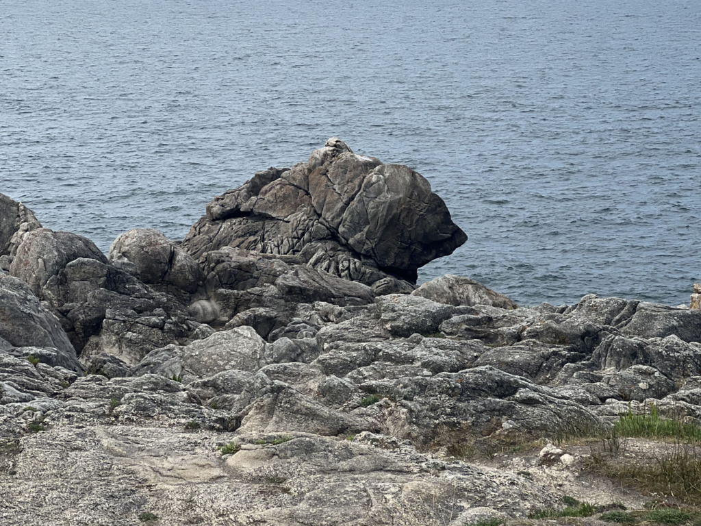 Rocher de l'ours - Le Croisic